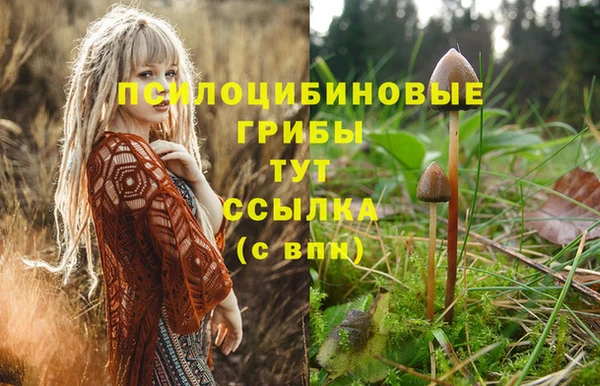 ALPHA-PVP Вязники