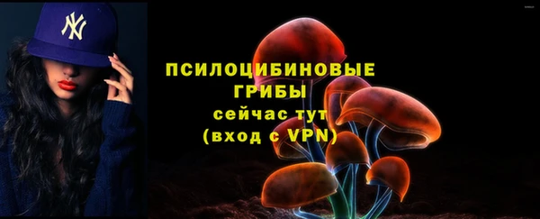 apvp Верхний Тагил